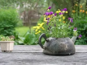 Instrucțiuni pentru crearea de paturi de flori, cu propriile lor mâini cu exemple de fotografii de design original (sale) Instrucțiuni pentru crearea de paturi de flori, cu propriile lor mâini cu exemple de fotografii de design original