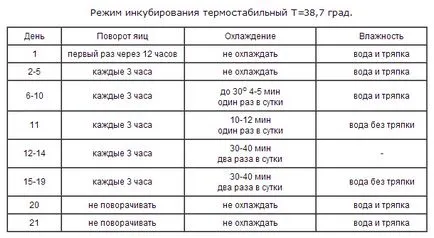 Incubator cu mâinile lor din frigider