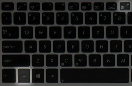 Instrucțiuni privind modul de a dezactiva touchpad-ul pe un laptop asus, HP, Lenovo și alte ferestre pe