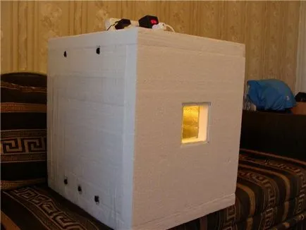 Instrucțiuni cu privire la modul de a face un incubator simplu sau automat, cu mâinile lor