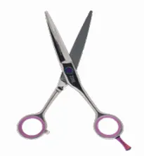 instrumentele necesare pentru a avea grijă de un câine