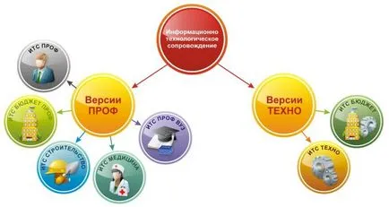 Ei, 1c suport tehnologia informației (1c ITS) , Tehnologia informației 1c său suport