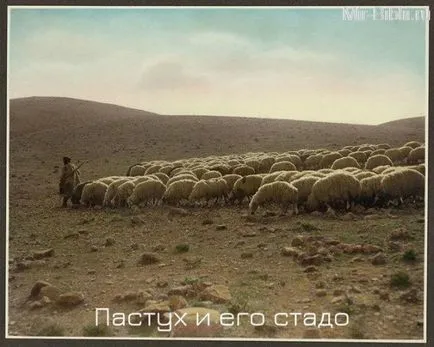 viață interesantă de păstori