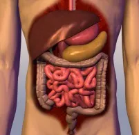 Ce este în acidul gastric uman - acid clorhidric (stomac) Ce este în acidul gastric uman - acid clorhidric