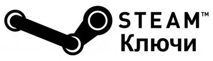Cum se activează cheia în Steam