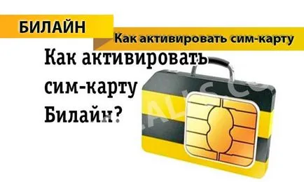 Cum se activează cartela SIM Beeline - 4 moduri de a activa SIM-card Beeline (cartela SIM) Cum se activează cartela SIM Beeline - 4 moduri de a activa SIM-card Beeline