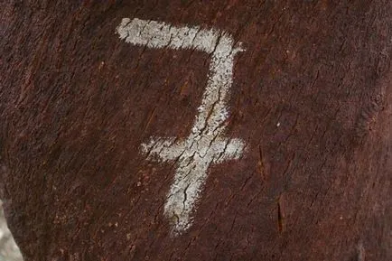 Cum conectați (capace de sticlă din lemn)