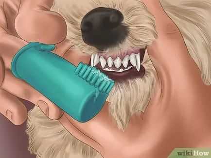 Cum să se spele pe dinti câinele