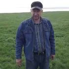 Cum de a face strat rezistent la apa placaj, pictura si utilizarea de ulei de in