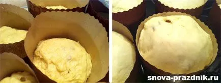 Cum se coace reteta tort de Paste cu imagini detaliate, din nou de vacanță! (Bake) Cum se coace reteta tort de Paste cu imagini detaliate, din nou de vacanță!