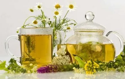 Cum și când să colecteze plante medicinale - să fie sănătos
