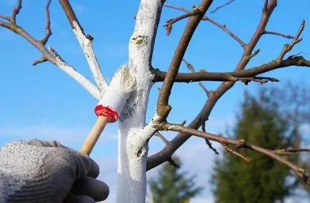Cum se stinge var pentru construcții și grădinărit