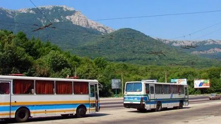 Deoarece aeroportul din Simferopol Alushta obține departe, transfer cu taxiul, publice (Alushta) Deoarece aeroportul din Simferopol Alushta obține departe, transfer cu taxiul, publice