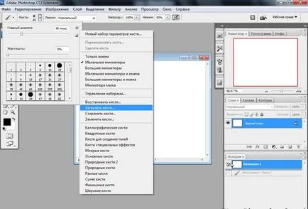 Cum să utilizați o perie în Photoshop 1 (veveriță vulpe mare) Cum să utilizați o perie în Photoshop 1