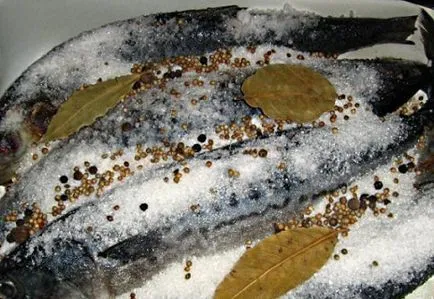Cum de a fuma de pește face acest lucru chiar în afumătoare, și o tigaie Aerogrill (balonare) Cum de a fuma de pește face acest lucru chiar în afumătoare, și o tigaie Aerogrill