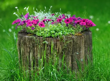 Cum să scapi de buturugi la cabana lor de vara (dacha) Cum să scapi de buturugi la cabana lor de vara