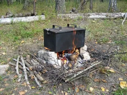 Cum să fumeze pește la domiciliu (pește) Cum să fumeze pește la domiciliu