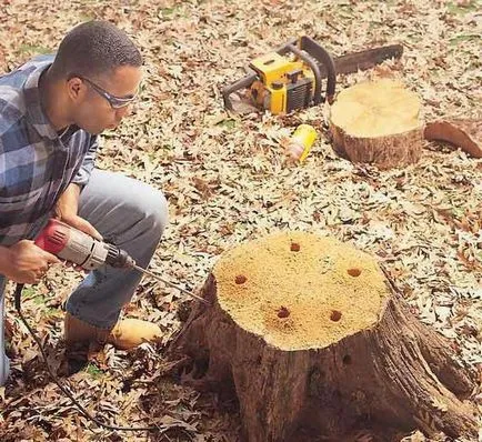 Cum de a scăpa de buturugi fără smulgerea metoda chimică, strivire