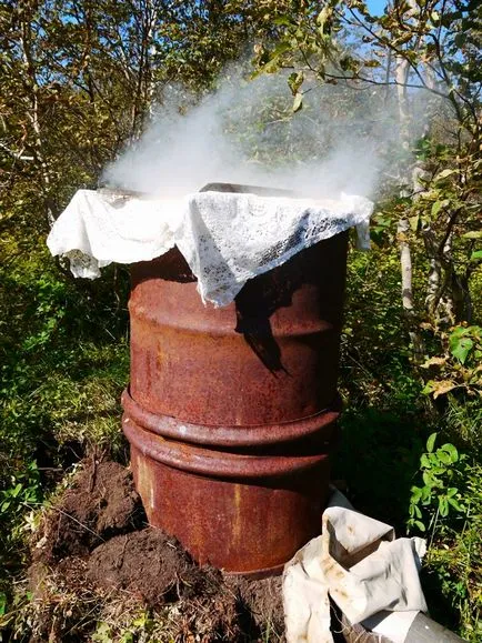 Cum să fumeze pește la domiciliu (pește sare timp de mai multe ore) Cum să fumeze pește la domiciliu