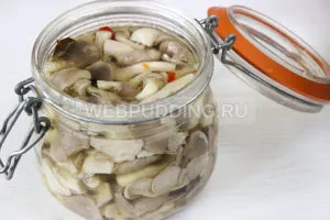 Cum să murarea ciuperci stridii acasă, cum să gătească pe