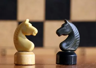 Cum de a scrie o descriere comparativă a celor doi eroi