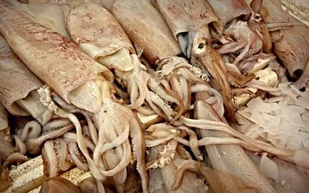 La fel de ușor de curățat și de a găti corect calmar (Cook) La fel de ușor de curățat și de a găti calmar corect