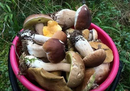 Așa cum am fost rușine