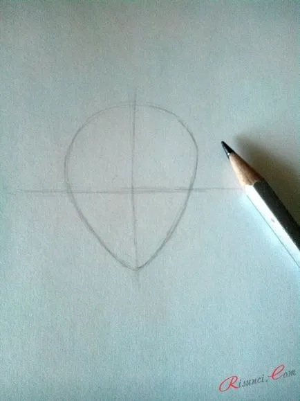 Cum de a desena fata anime, desene in creion în etape