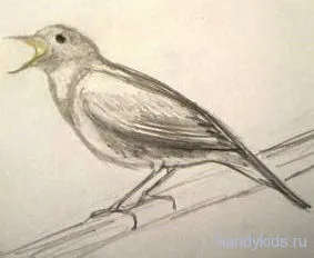 Cum de a desena un Heron într-o mlaștină