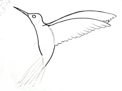 Cum de a desena o (imagine Hummingbird) Hummingbird Cum de a desena un Hummingbird