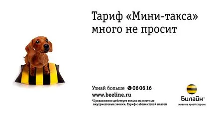Cum se configurează Internet la Beeline (Beeline) Cum se configurează Internet la Beeline