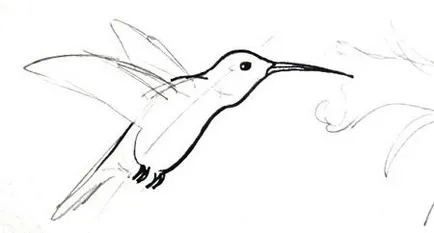Cum de a desena un Hummingbird (remiză) Cum de a desena un Hummingbird