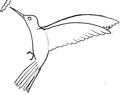 Cum de a desena o (imagine Hummingbird) Hummingbird Cum de a desena un Hummingbird