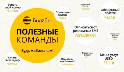 Cum se dezactivează roaming pe Beeline în România și în străinătate (dezactiva Beeline roaming) Cum se dezactivează roaming pe Beeline în România și în străinătate