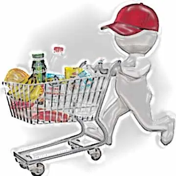 Cum de a deschide magazinul online de la sol un plan de afaceri (zero) Cum de a deschide magazinul online de la zero un plan de afaceri