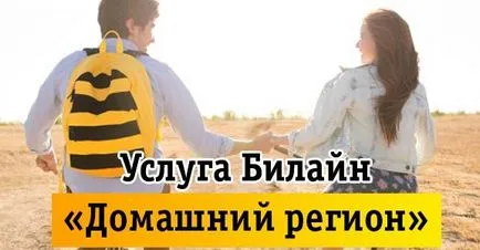 Cum se conectează regiunea de origine a Beeline, instrucțiuni pas cu pas privind utilizarea prețurilor (Beeline) Cum se conectează regiunea de origine a Beeline, instrucțiuni pas cu pas privind utilizarea prețurilor