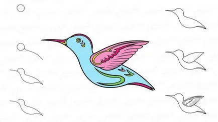 Ca egalitate Stadiile Hummingbird pasăre (Hummingbird) Cum să atragă treptat Hummingbird