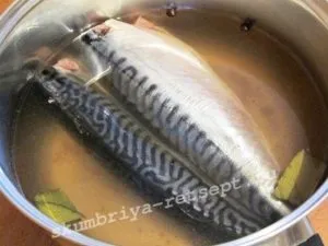 Ca scrumbie sare în întregime acasă, în saramură gustoase (delicios) Ca scrumbie sare în întregime acasă în saramură delicioasă