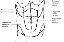 Cum de a construi musculare la efort acasă