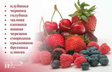 Cum să înghețe fructe de padure pentru iarna, pe blog-ul Iriny Zaytsevoy