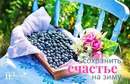Cum să înghețe fructe de padure pentru iarna, pe blog-ul Iriny Zaytsevoy
