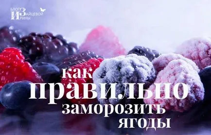 Cum să înghețe fructe de padure pentru iarna, pe blog-ul Iriny Zaytsevoy