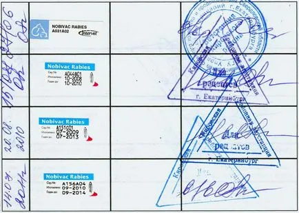 Cum sa faci o pisica pașaport, instrucțiuni, sfaturi, video