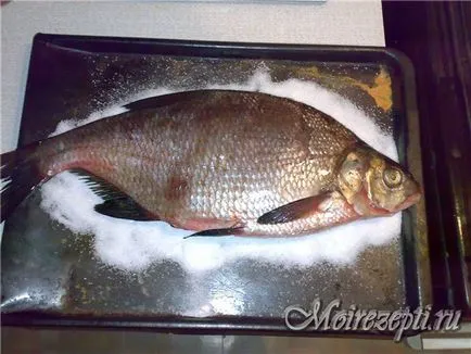 Cum se murarea plătică la domiciliu