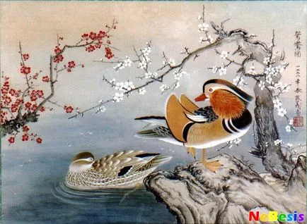 Cum de a atrage iubirea de Feng Shui