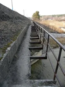 Cum de a rezolva problema de transport în Akademgorodok - grupul de inițiativă - mersul pe jos,