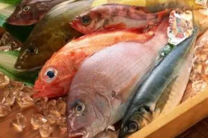 Cum să se dezghețe pește rapid și corect sfaturi eficiente care nu va lasa sa strice (pește) Cum să se dezghețe pește rapid și corect sfaturi eficiente care nu va lasa sa strice