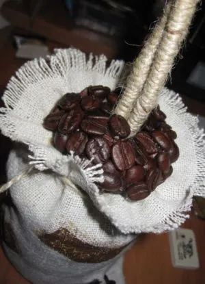 Cum sa faci un copac de cafea