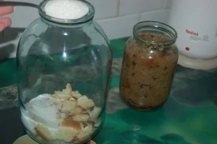 Cum sa faci o cvas acasă de la pâine (foto și video)
