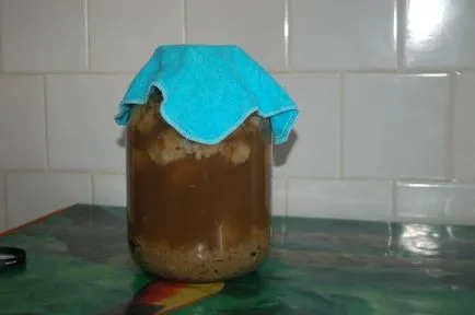 Cum sa faci o cvas acasă de la pâine (foto și video)